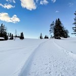 Winterwandern zwischen Rosengarten und Latemar