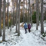 Durch den stillen Wald zum Aufhofener Kreuz