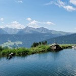 Teich neben der Freundalm