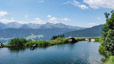 Teich neben der Freundalm