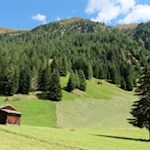 Diese Hüttenwanderung führt durch Wald und Almwiesen