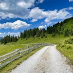 Der breite Wanderweg zur Rinneralm ist auch für Kinderwagen geeignet