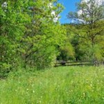 Auf dem Weg zum idyllischen Weiler Karnol