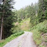 Auf dem nunmehr breiten Weg zur Wollbachalm