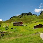 Zur Almrosenhütte führt ein breiter, kinderwagentauglicher Wanderweg