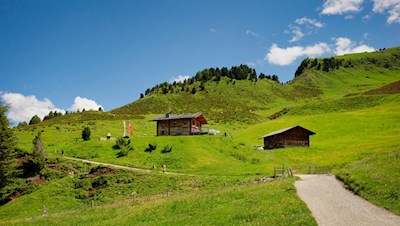 Zur Almrosenhütte führt ein breiter, kinderwagentauglicher Wanderweg