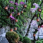 Una flora delicata delinea il nostro percorso dalla grotta inferiore a quella superiore