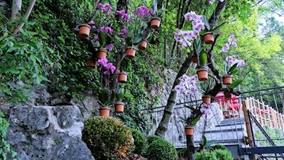 Una flora delicata delinea il nostro percorso dalla grotta inferiore a quella superiore