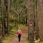 Herbstwanderung zum Wolfsgrubener See