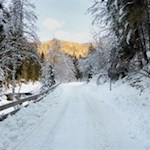 Durch die winterlich ummantelte Landschaft zur Brunstalm