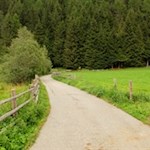 Zunächst führt der Valser Rundweg den Waldsaum entlang