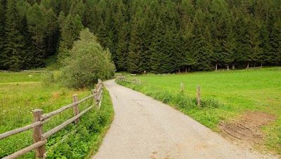 Zunächst führt der Valser Rundweg den Waldsaum entlang