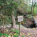 Gleich hinter dem Stöcklvater zweigt der Waldpfad Nr. 10 ab
