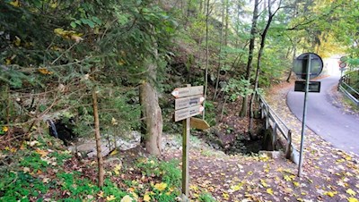 Gleich hinter dem Stöcklvater zweigt der Waldpfad Nr. 10 ab