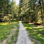 Auf dem Rückweg nach Maria Weißenstein