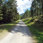 Der breite, sanft ansteigende Wanderweg zur Lercheralm eignet sich für Ausflüge mit dem Kinderwagen