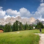 Mit Blick auf den Rosengarten zurück zur Frommer Alm