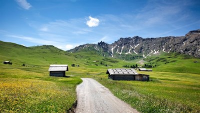 Durch die idyllischen Wiesen der Seiser Alm zur Sattler Schwaige