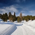 Im nunmehr sanfteren Anstieg führt der Weg durch die bezaubernde Winterlandschaft