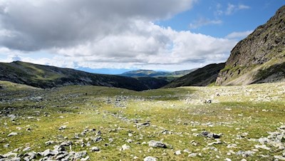 Durch steinbeschlagene Bergwiesen zum Getrumsee