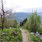 Den Zielbach entlang zurück zum Ausgangspunkt