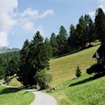 Die asphaltierte Höfestraße schlängelt sich durch malerische Wiesen zum eigentlichen Beginn des Weges