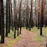 Die Wanderung ist bestens markiert