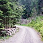 Der breite Wanderweg zur Spisser Alm ist auch mit dem Kinderwagen zu meistern