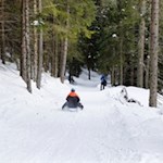 Rodeln von der Gasserhütte