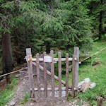 The ascent to the Dusler mountain hut leads through the forest