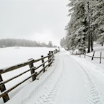 In einer ausgedehnten Lichtung auf der Plose liegt die Ackerboden Alm