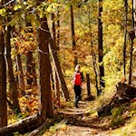 Durch den Wald zurück nach Unterinn