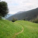 Durch naturbelassene Wiesen zurück ins Tal