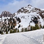 Vor der Kulisse des Zendleser Kofel zur Gampenalm