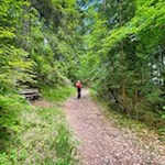 Im leichten Anstieg zum Berggasthaus Tomanegger