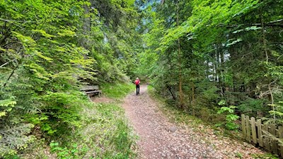 Im leichten Anstieg zum Berggasthaus Tomanegger