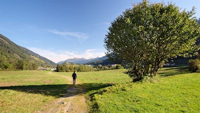 Sanfte Wanderung im hinteren Ridnauntal