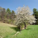 „Alles Große und Edle ist einfacher Art.“ (William Blake)