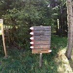 Der Weg zur Lercheralm ist bestens ausgeschildert