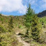 Durch urwüchsiges Gelände auf die Eidechsspitze