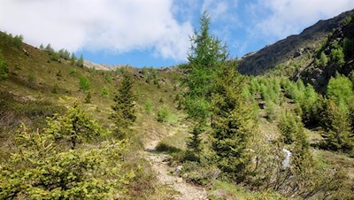 Durch urwüchsiges Gelände auf die Eidechsspitze