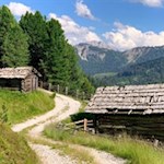 Durch sanfte Almwiesen zur Pecolhütte