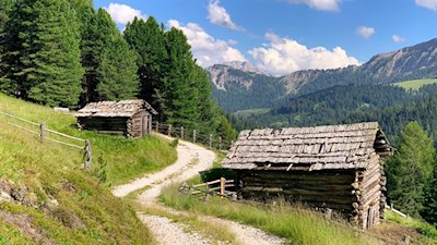Durch sanfte Almwiesen zur Pecolhütte