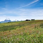 Inmitten idyllischer Almwiesen liegt die Laurinhütte