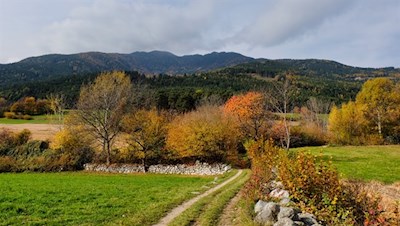 Durch herbstlich gefärbte Felder nach Feldthurns