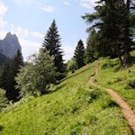 Auf dem Geologensteig zur Prossliner Schwaige