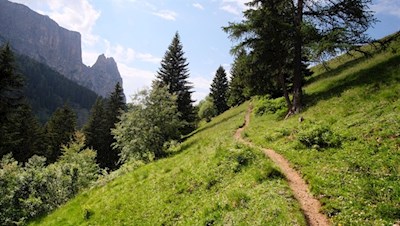 Auf dem Geologensteig zur Prossliner Schwaige