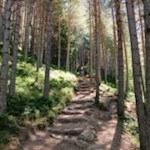 Im steten Anstieg in Richtung Gönneralm