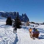 Romantische Kutschfahrt auf der Seiser Alm