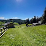 Inmitten idyllischer Almwiesen präsentiert sich die Leadner Alm